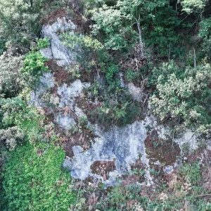 DJI_20260612101253_0002_D