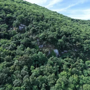 DJI_20260612101320_0003_D