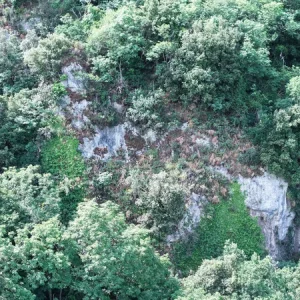 DJI_20260612101353_0004_D